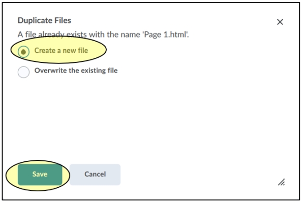 Duplicate Files window