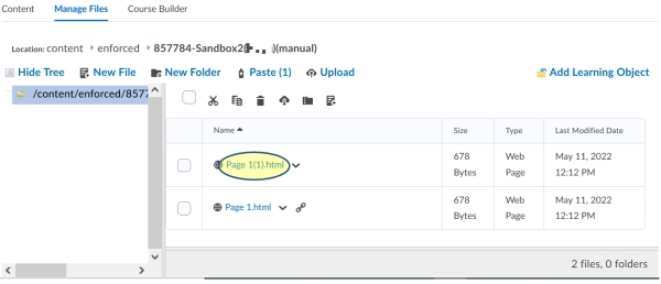 Manage Files - showing copy