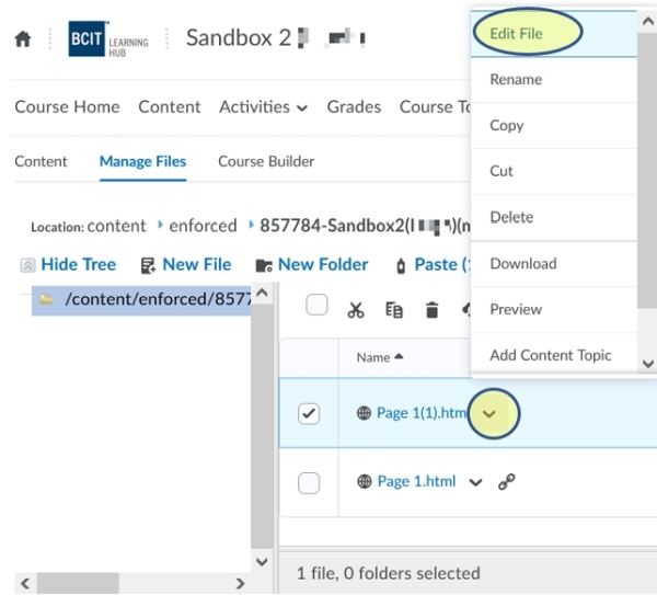 Manage Files - edit file