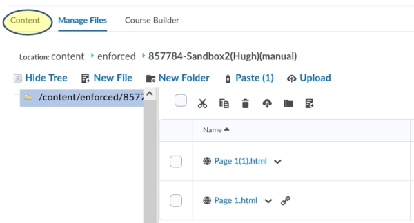 Manage Files - content tab